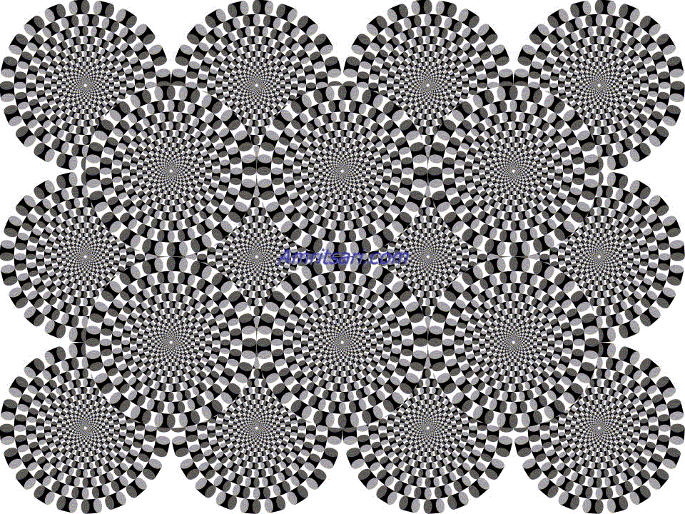 snakes black and white illusion