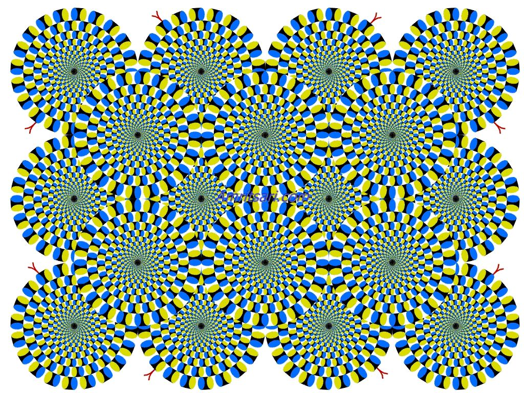 wheel circle illusion